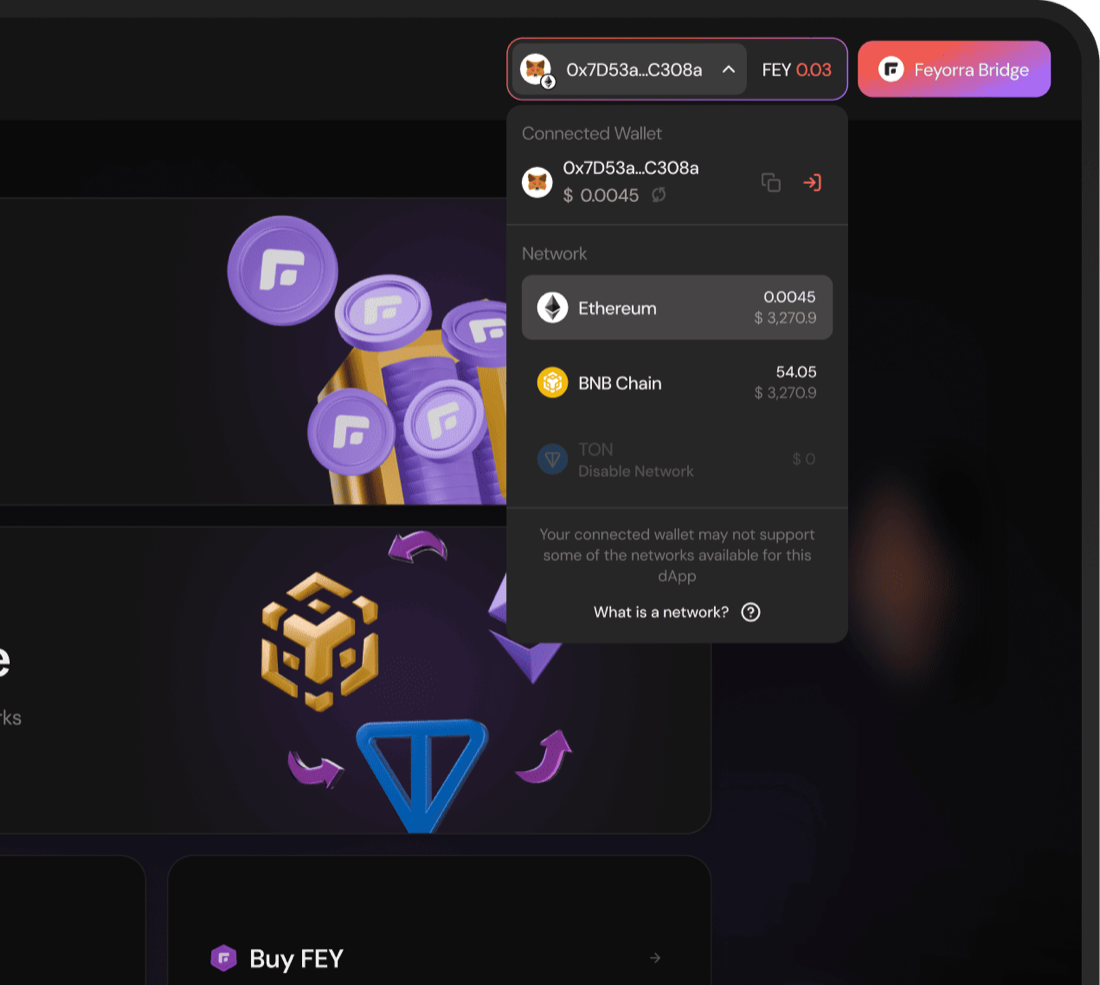 Network switcher for Ethereum, BNB Chain and TON